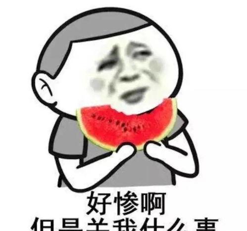 娱乐吃瓜酱安全气囊吐槽,娱乐吃瓜酱的吐槽与反思
