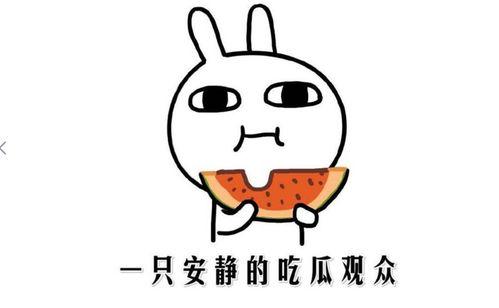 吃瓜娱乐摆脱社恐,轻松摆脱社交恐惧症困扰