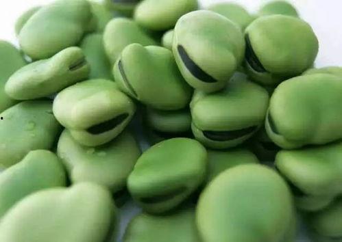 二豆娱乐吃瓜,揭秘娱乐圈吃瓜背后的真相
