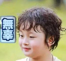 娱乐吃瓜小杰是谁呀,网络红人的崛起之路