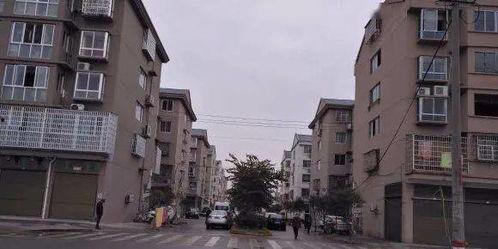 安排好行程娱乐吃瓜酱,一场说走就走的旅行盛宴