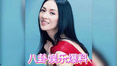 娱乐圈素人吃瓜系统,揭秘明星背后的真实生活