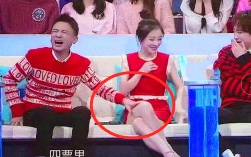 娱乐综艺节目吃瓜,吃瓜群众带你领略明星幕后故事