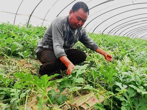 吃瓜娱乐郑州,揭秘网红美食与娱乐新风尚