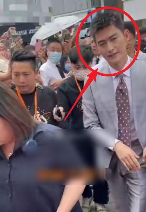 娱乐吃瓜君星图报价,明星片酬背后的秘密大起底