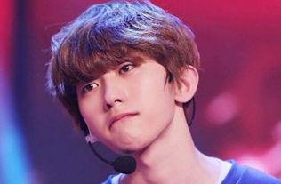 娱乐吃瓜鸭蔡徐坤,娱乐吃瓜界的“鸭王”崛起之路