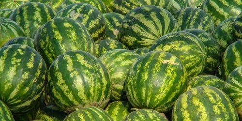 娱乐吃瓜酱30天,揭秘娱乐圈那些不为人知的秘密与趣事