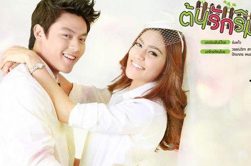 男女主娱乐圈吃瓜的小说,瓜田里的甜蜜邂逅