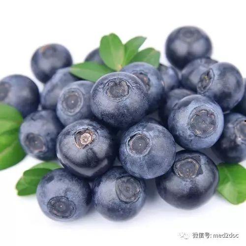 娱乐吃瓜酱蓝莓视频大全,娱乐吃瓜酱带你领略视觉盛宴