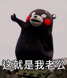 娱乐吃瓜呱,揭秘“吃瓜呱”背后的故事